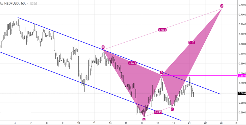 NZD2.png